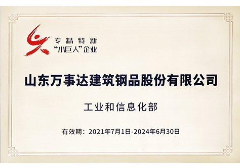 國(guó)家專(zhuān)精特新小巨人