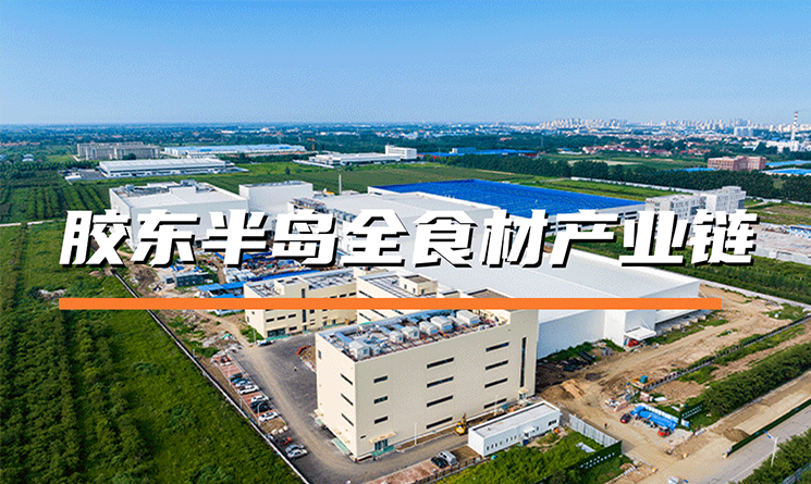 萬事達(dá)冷鏈助力膠東半島全食材產(chǎn)業(yè)鏈打造綠色冷庫