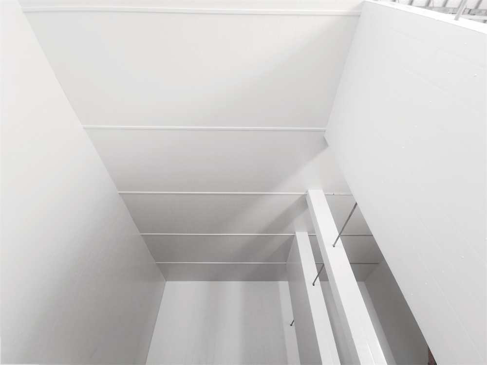 萬事達冷鏈助力膠東半島全食材產業鏈打造綠色冷庫(圖8)