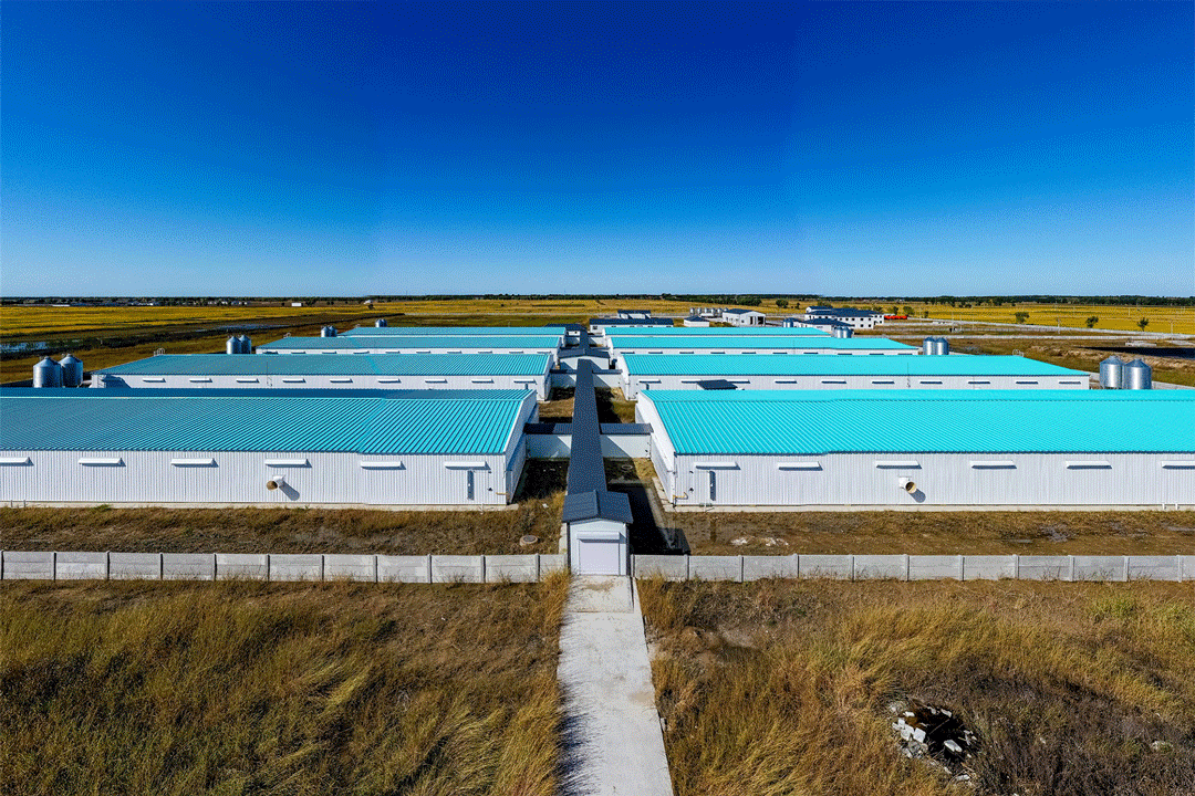 聚·變丨潘通 2025 年度代表色發布，工業建筑也可以多姿多彩(圖6)