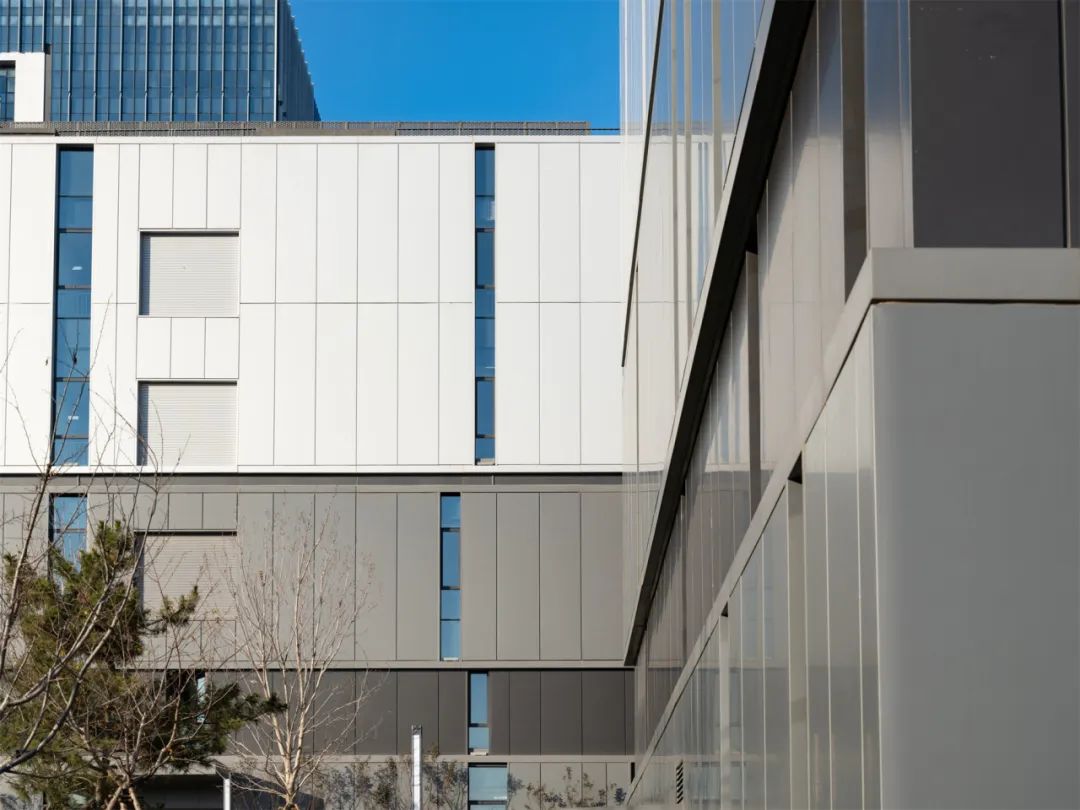 萬(wàn)事達(dá)30天極速交付,賦能環(huán)磁山項(xiàng)目幕墻美學(xué)!(圖10) 萬(wàn)事達(dá)30天極速交付,賦能環(huán)磁山項(xiàng)目幕墻美學(xué)!(圖10)